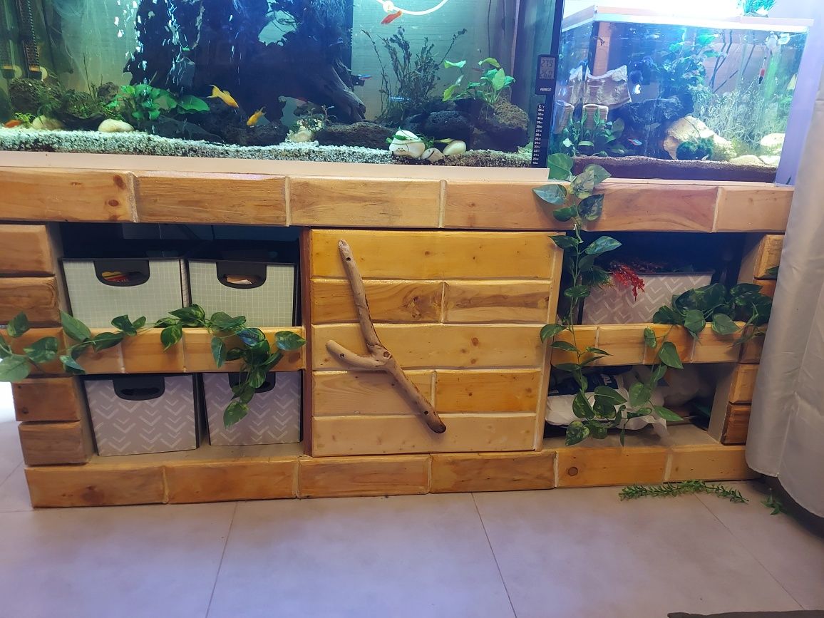 Aquario de 250L completo, 1 de 50l e outro de 32l com peixes e etc