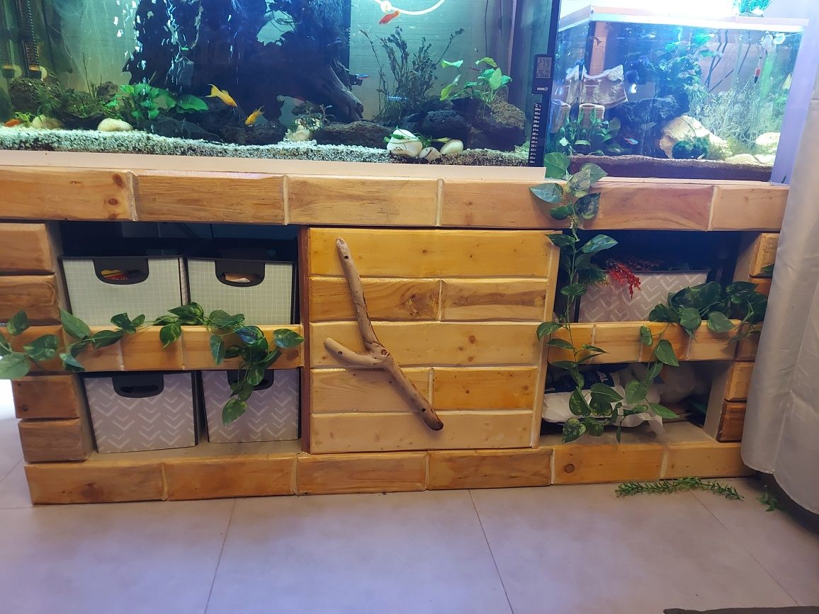 Aquario de 240L completo, 1 de 50l e outro de 32l com peixes e etc