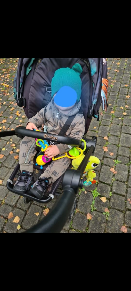 Cybex mios birds of paradise