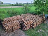 drewno sosnowe: na stemple, słupki, kołki, paliki, żerdzie, ogrodzenie