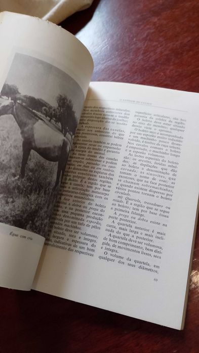 O Exterior do Cavalo - J. Miranda do Vale