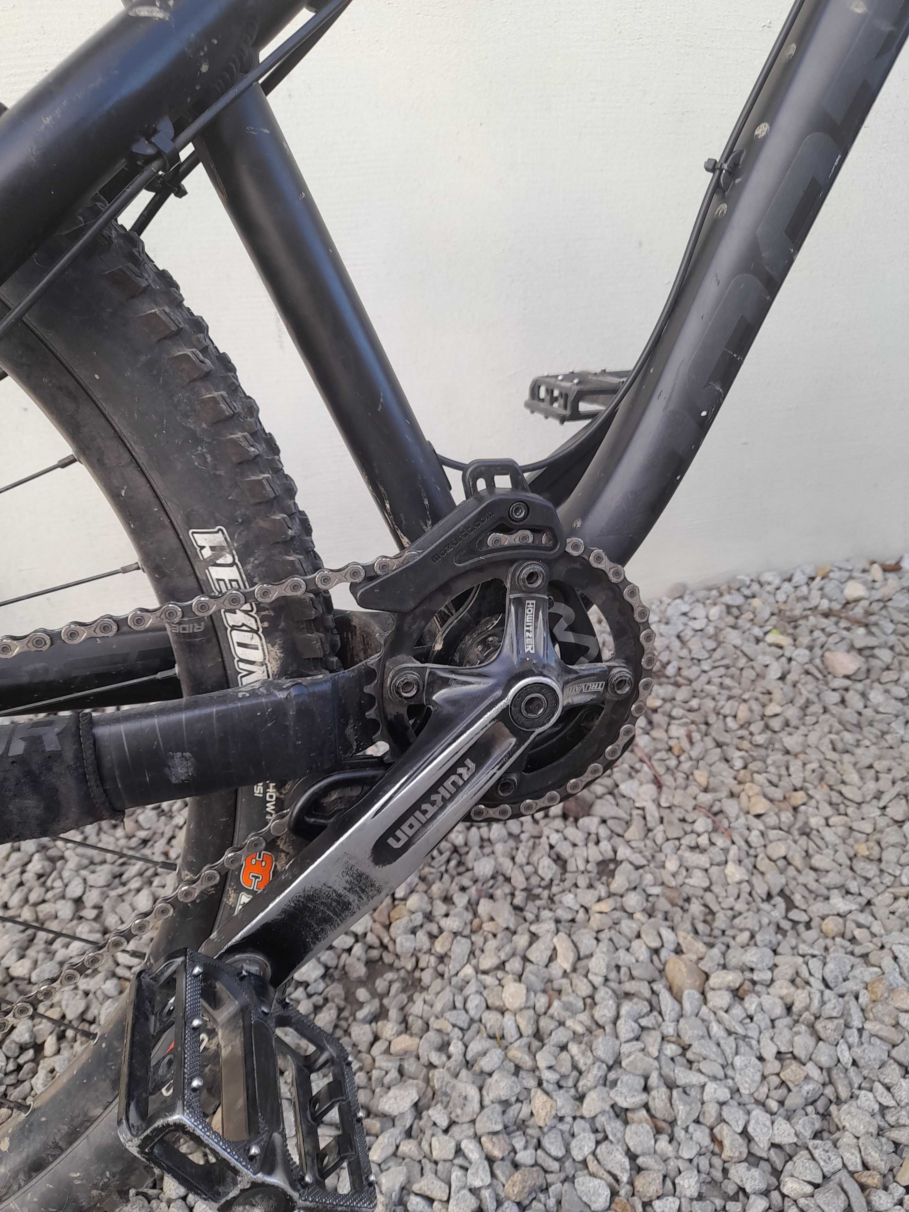 Dartmoor hornet 2020