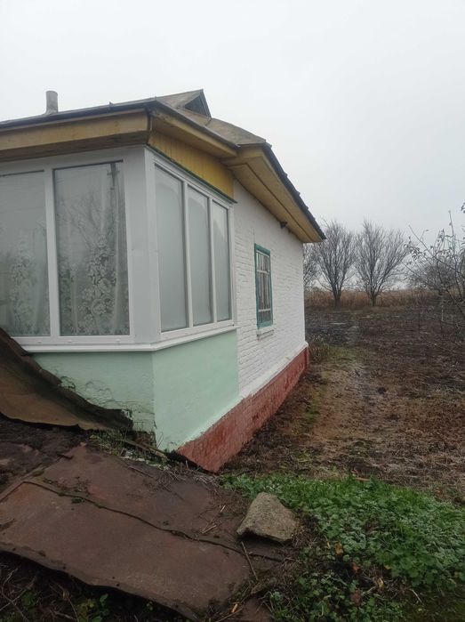 Капітальний будинок в с. Товстоліс 8 км від Чернігова