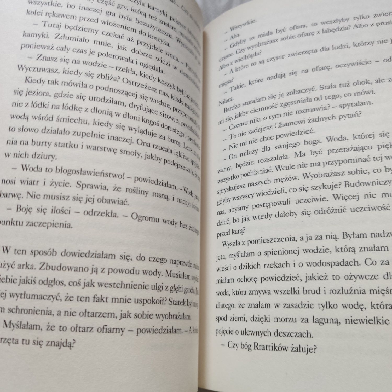 Książka W cieniu arki