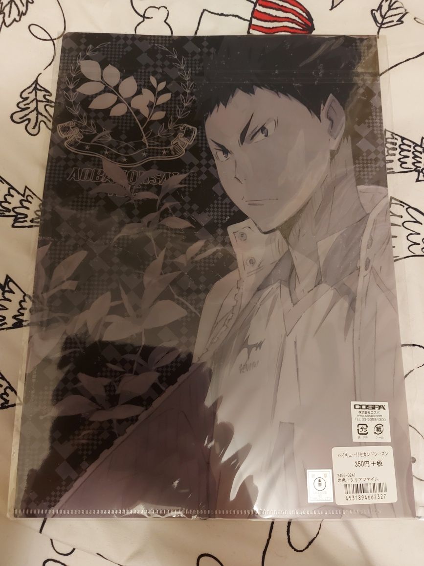 Clear file teczka na dokumenty Iwaizumi Hajime anime Haikyuu Haikyu HQ