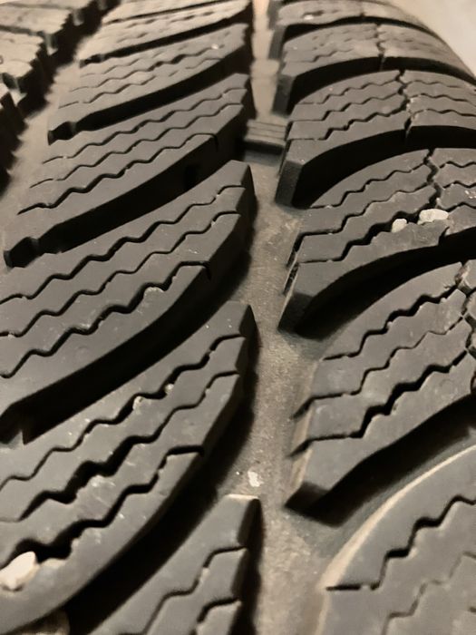 Dębica frigo 2 - rok 2024