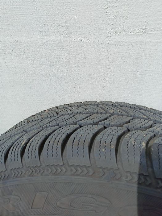 Koła zimowe Dębica Frigo2 195/65/R15