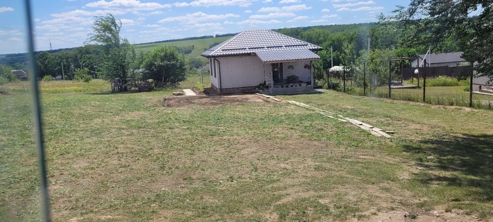 Покос трави СпИл деревьев дробление веток