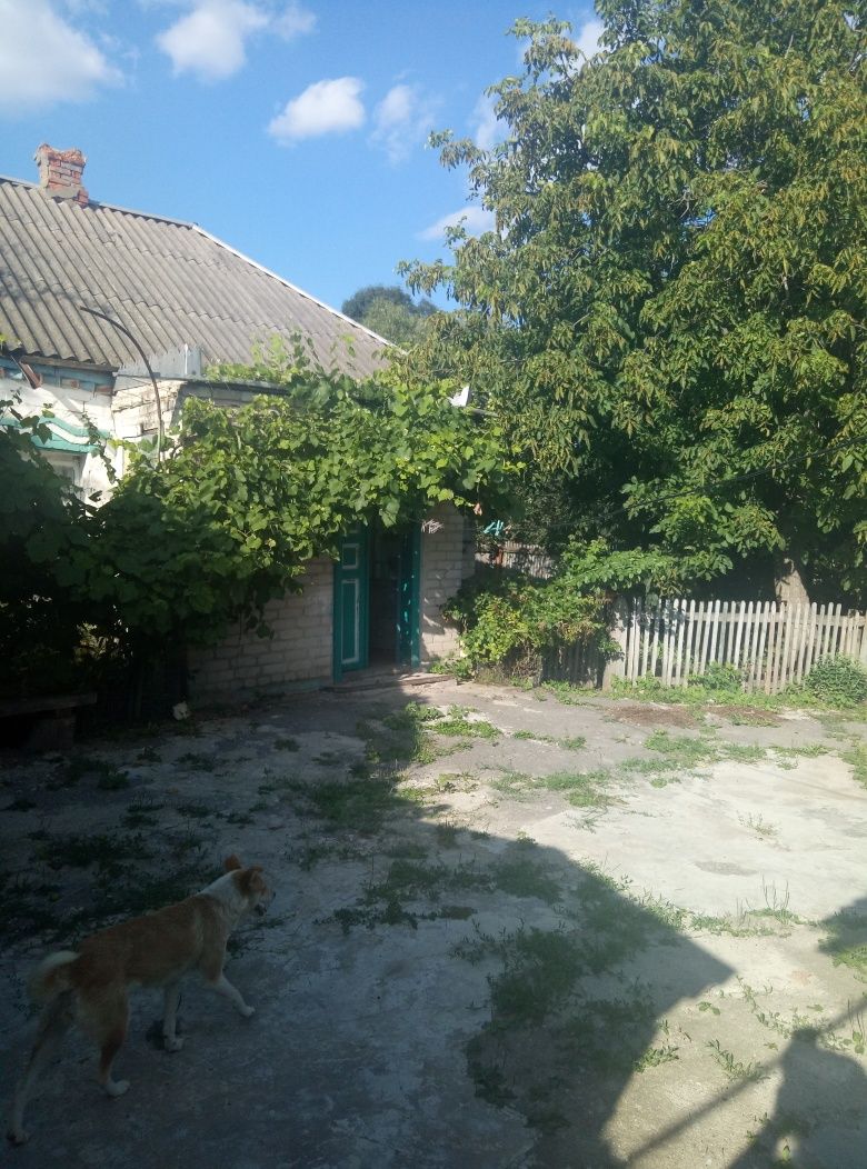 Продам дом в Нововодолажском районе