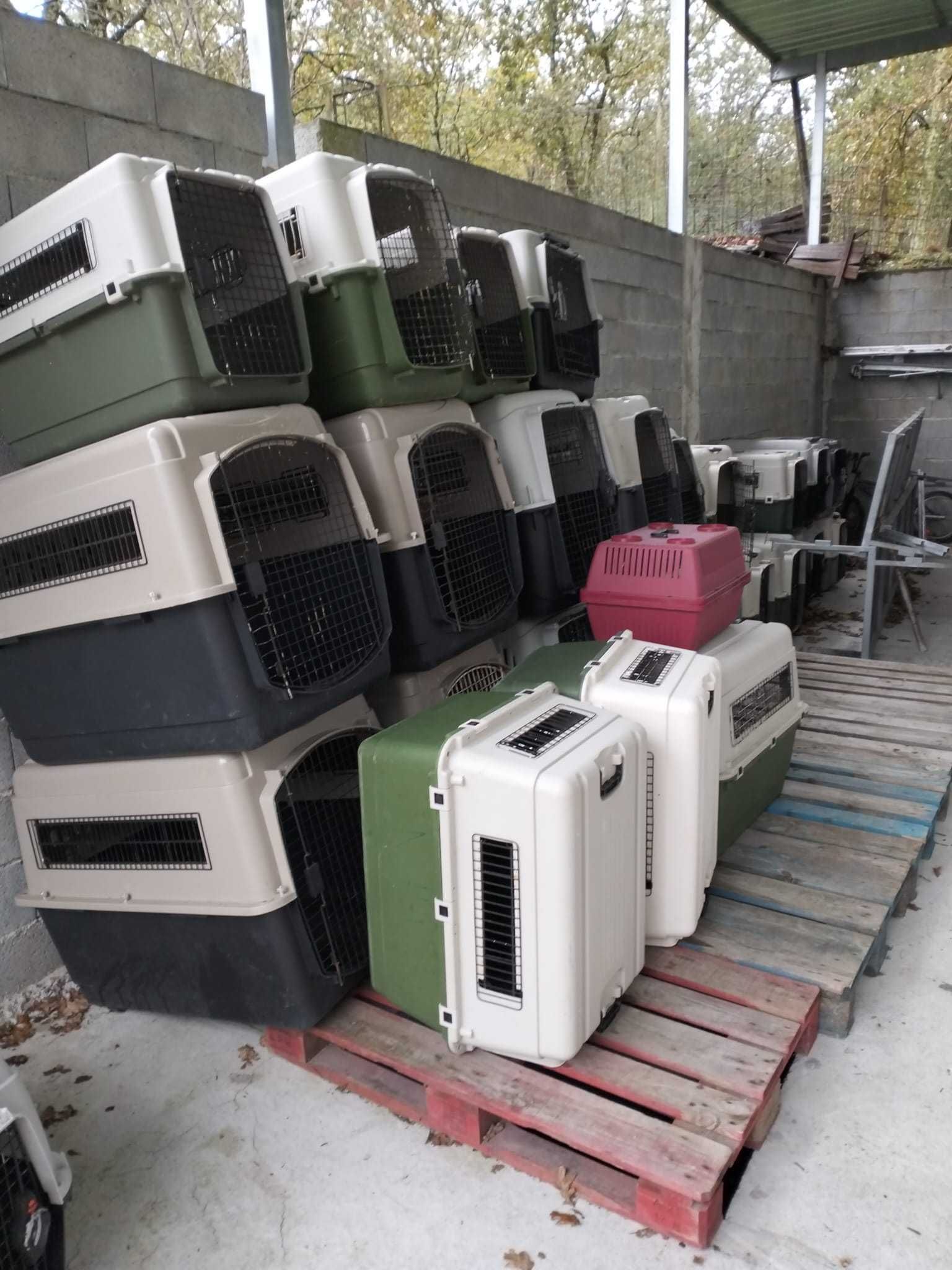 Transportadoras (usadas) para transporte de animais domésticos