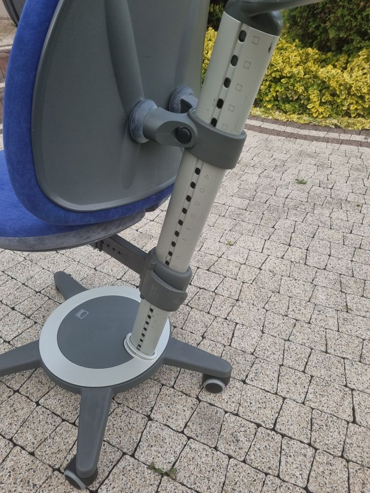 Moll Maximo krzesło ergonomiczne