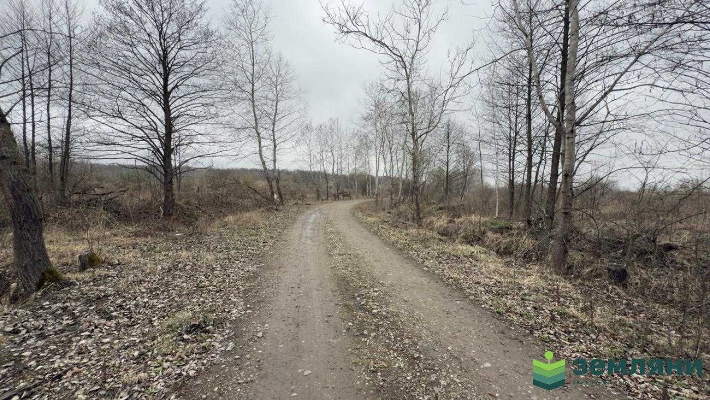 Продається ділянка 6 сот в с. Хриплин