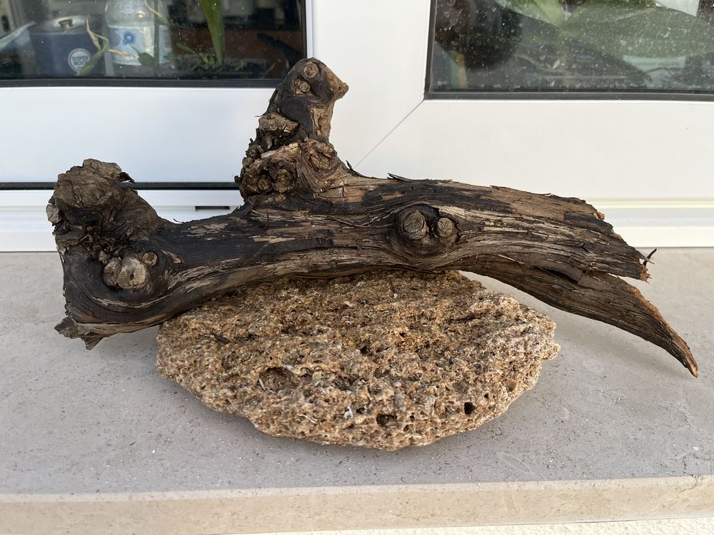 Tronco de videira e pedra para terrario ou aquario