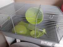 Gaiola hamster xom acessorios