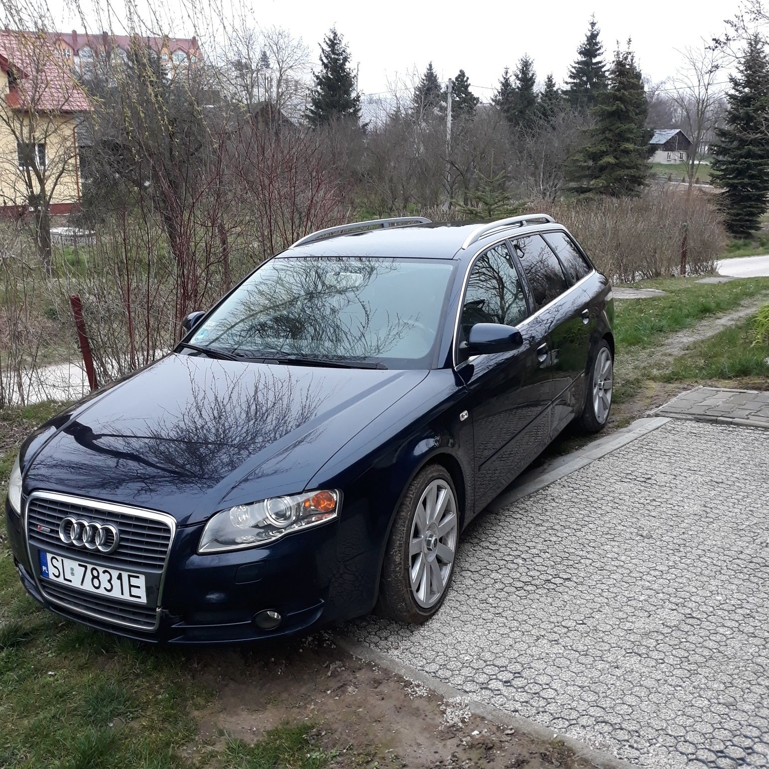 Audi a4 b7 2.0 alt lpg