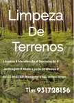 Limpeza de terrenos