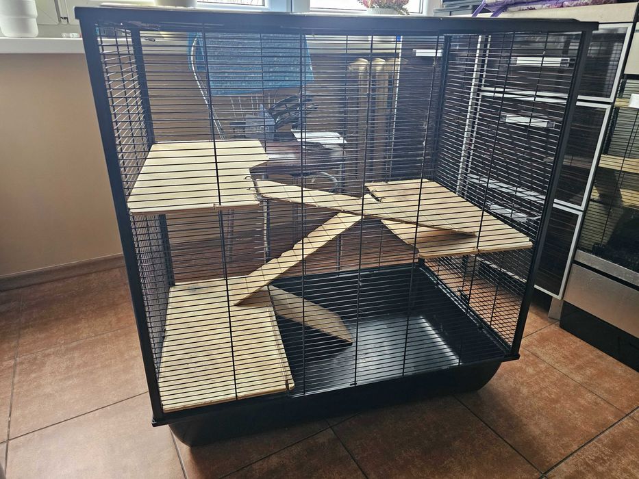 Klatka dla szynszyli, gryzoni