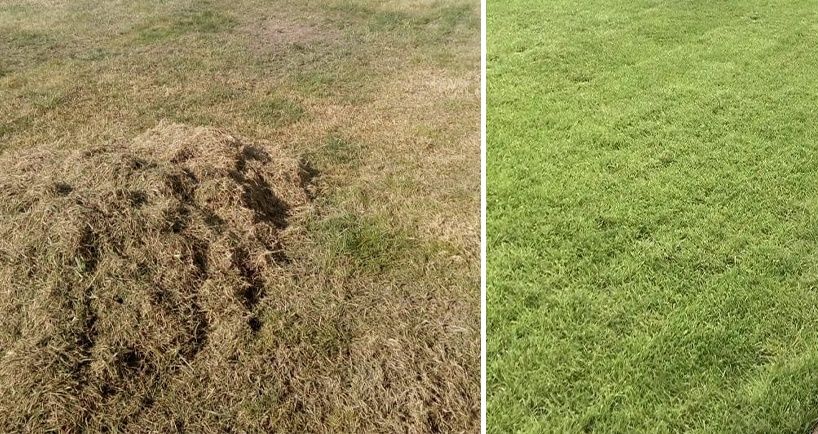 Оренда скарифікатора для газона