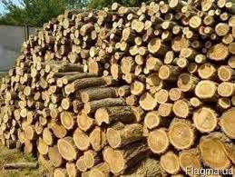 В продажу дрова для опалення. Опт/Роздріб