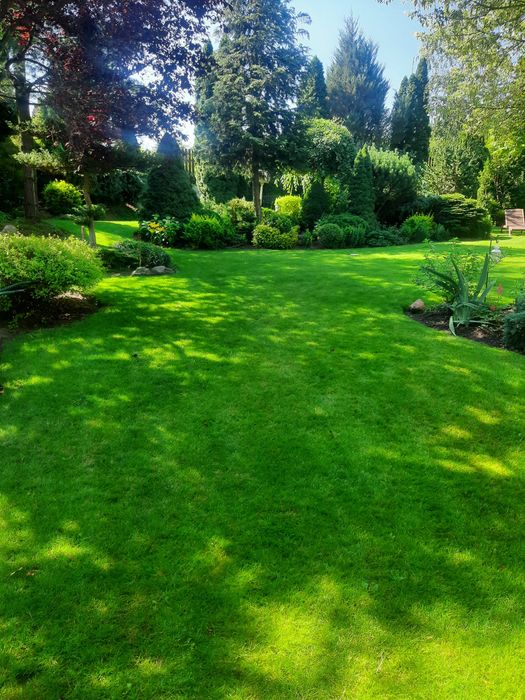 System nawodnienia i odwodnienia , drenaż