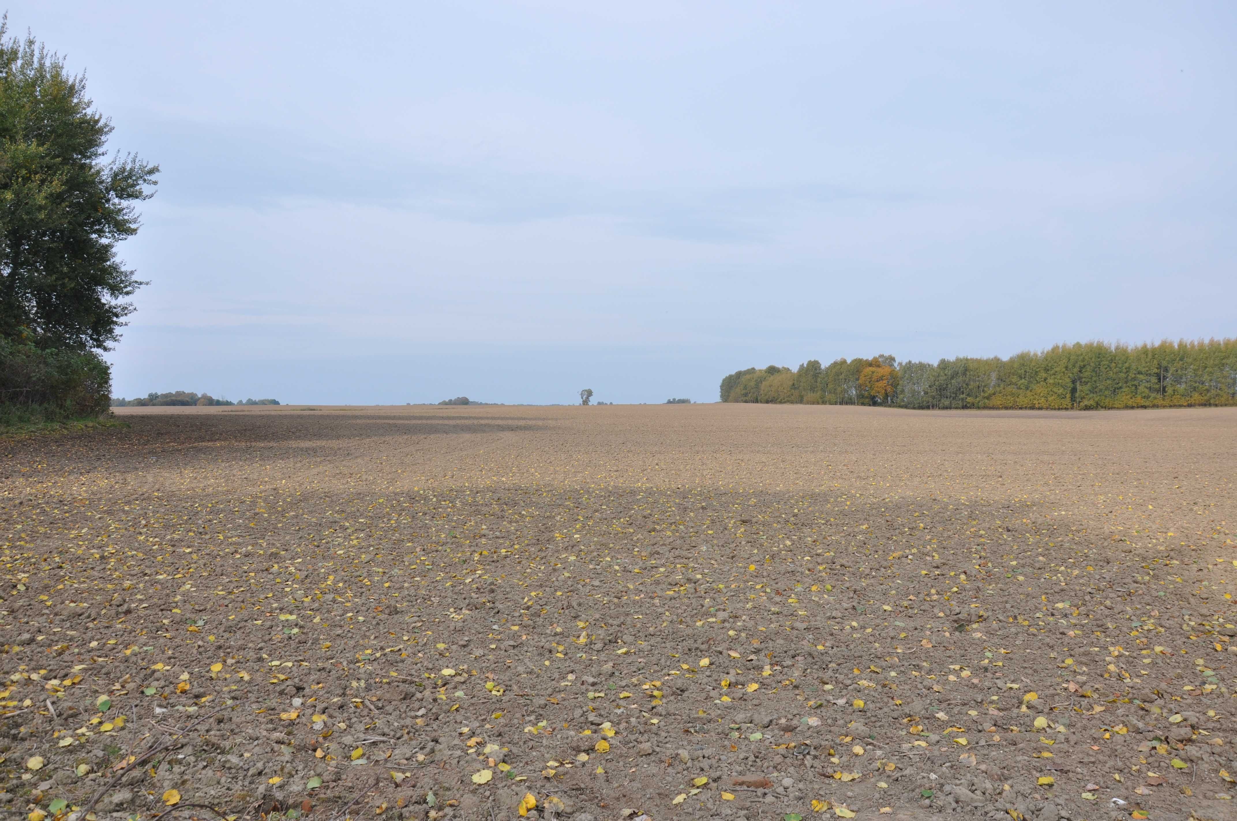 100 ha na sprzedaż - Wyszkowo gmina Lelkowo