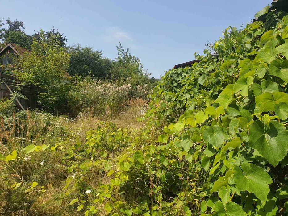 Продаж участка 10 хвилин Холодна Гора Залютино 12 соток