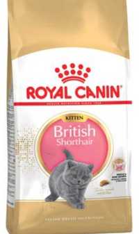 5*400g Royal Canin British Shorthair Kitten 2kg