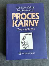 Proces karny zarys systemu