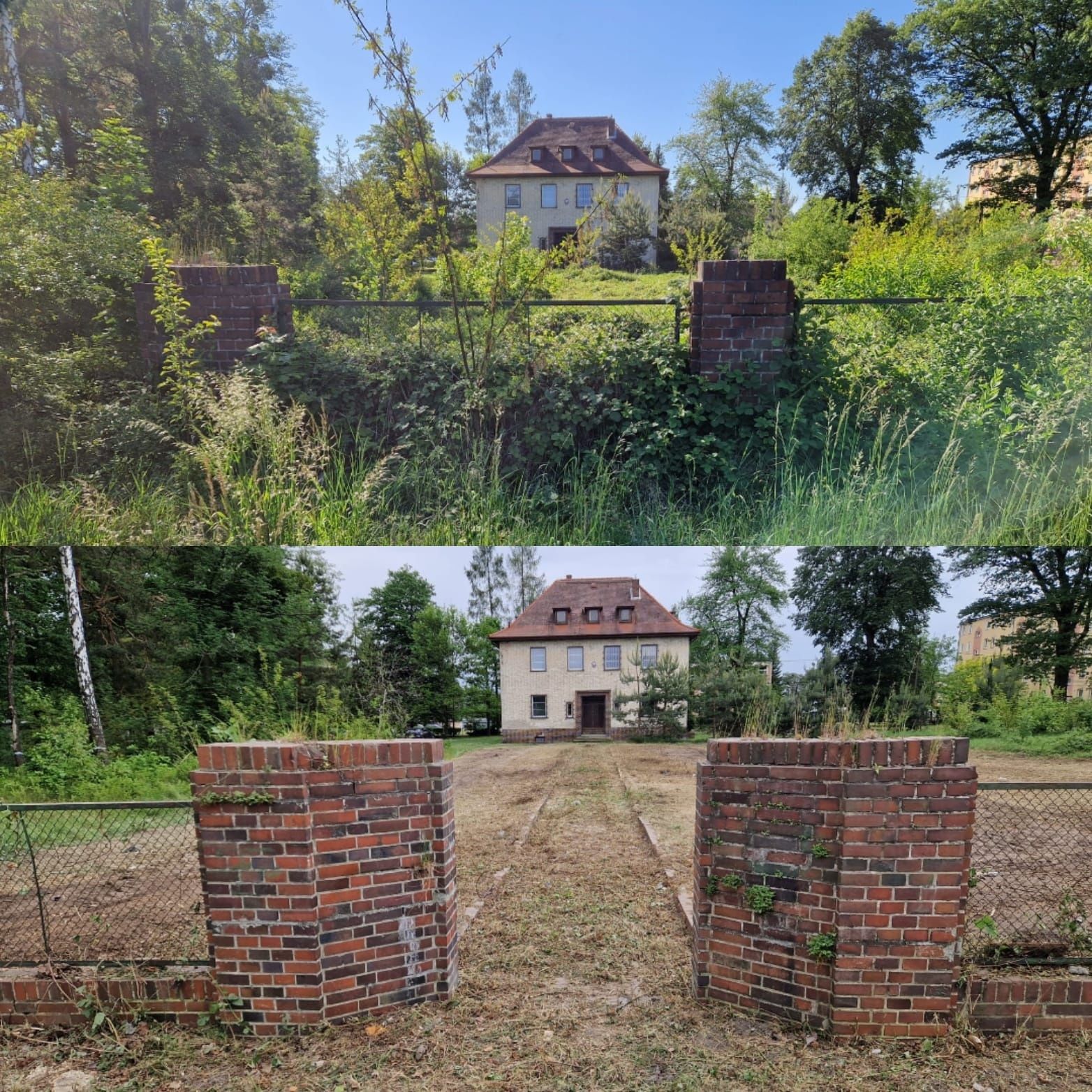 Ogrody,Koszenie, Wycinka drzew,Karczowanie,Prace porządkowe