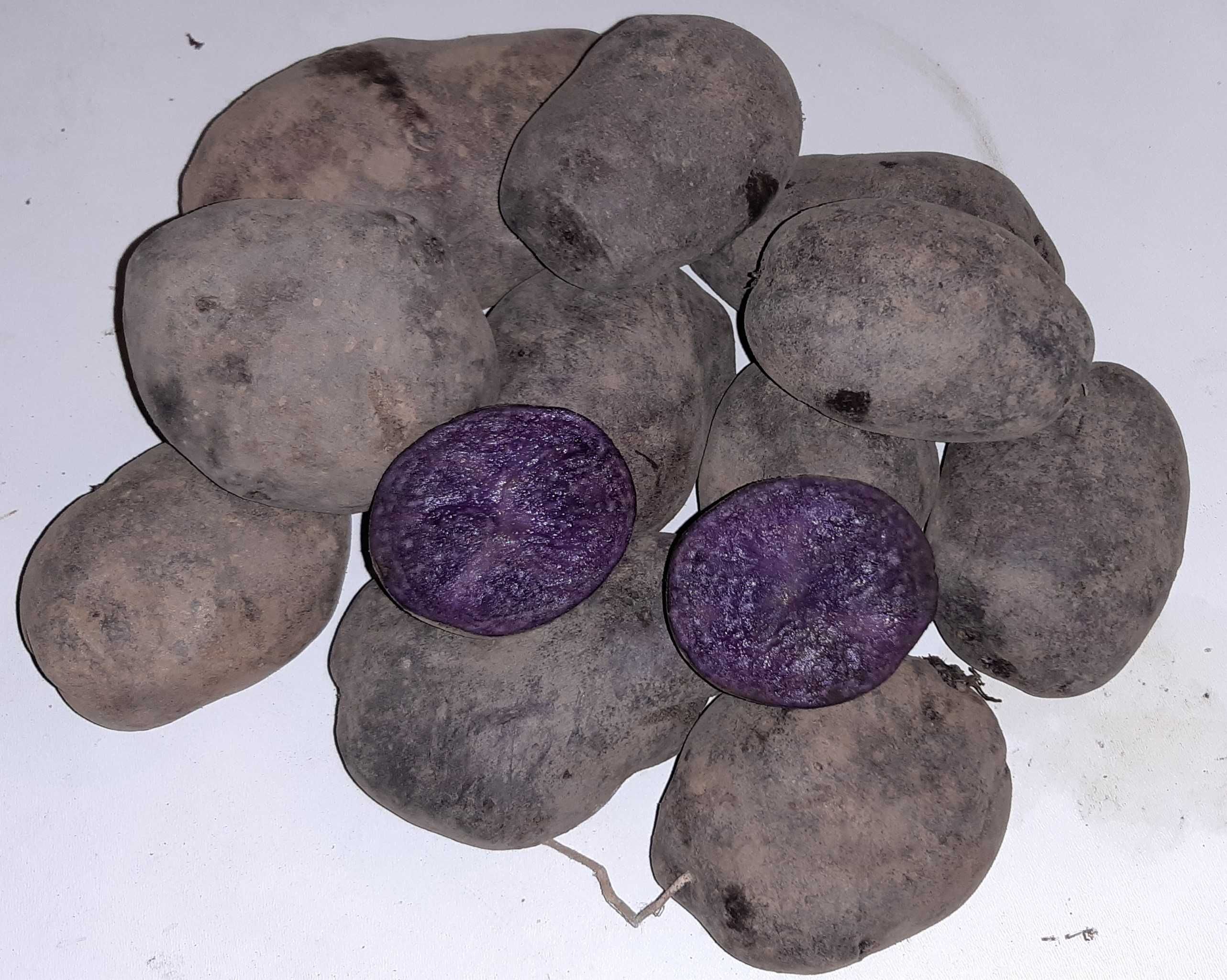 Ziemniaki fioletowe (truflowe)