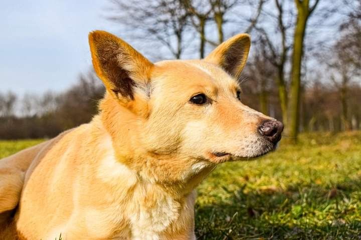 Pilnie szukamy dla niej kochającego Domu, którego nigdy nie miała...