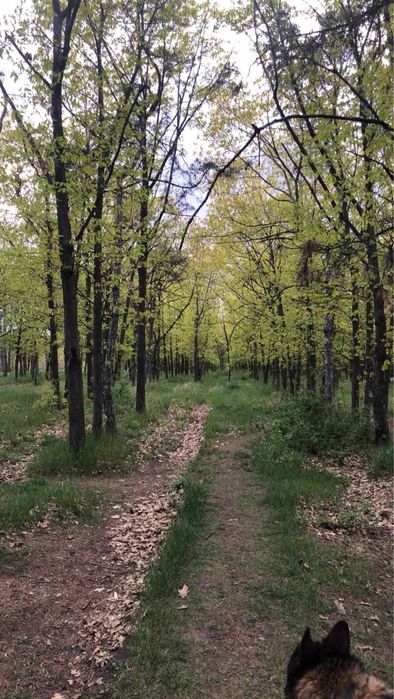 Продам Коттедж РК«ТАРТУС» с видом на море