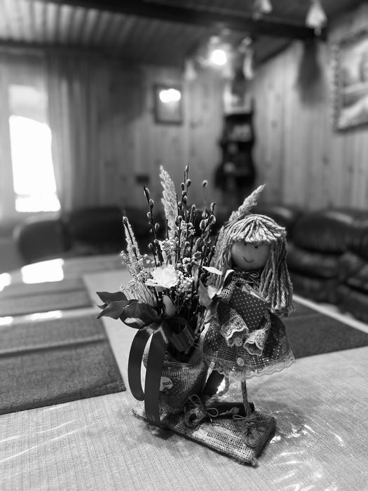 Оренда котеджів/будиночків. Чани/Сауна/Більярд/Настільний теніс