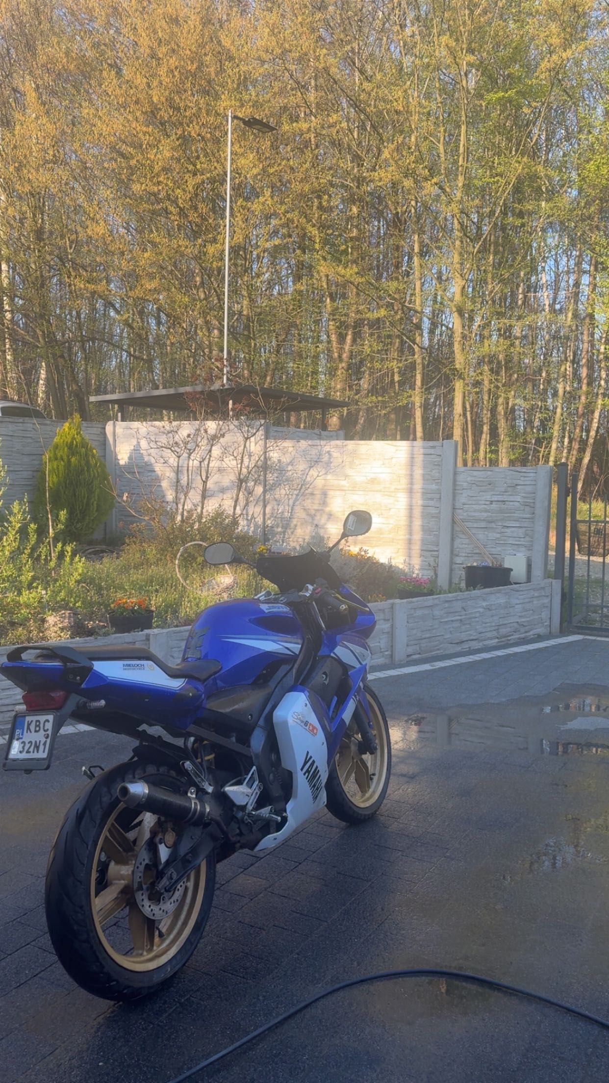Yamah tzr 50 2010