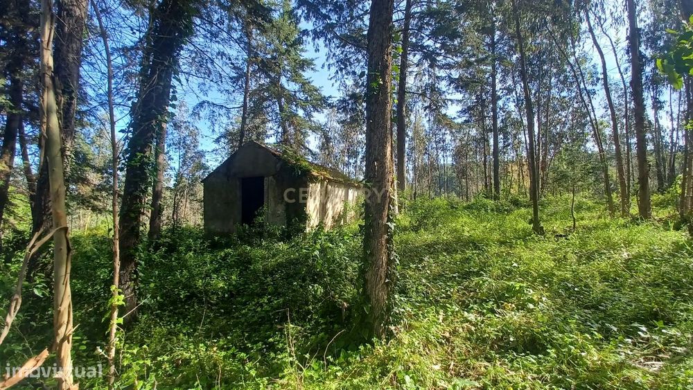 Terreno - Vila Nova da Barca - Venda