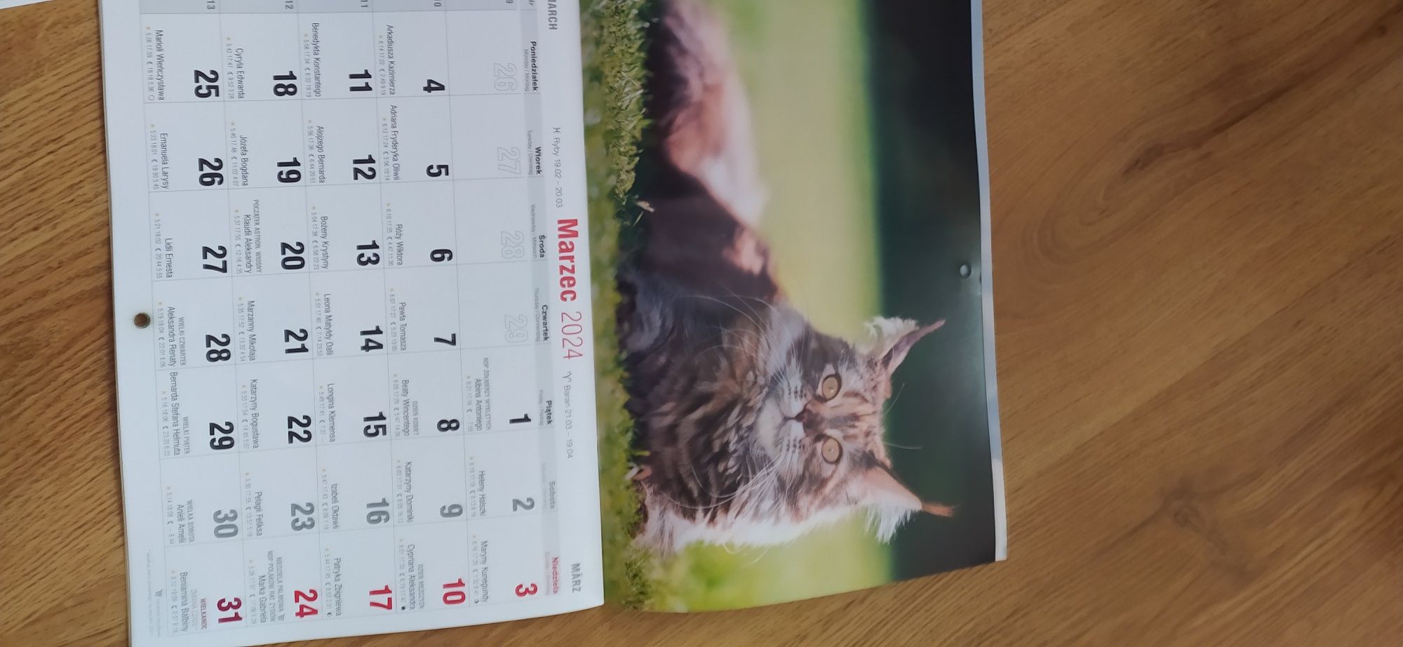 Kalendarz 2024 koty