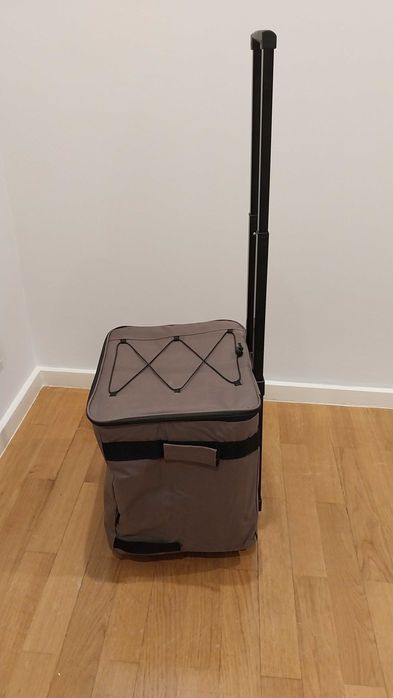 Carrinho de Compras com Bolsa Térmica