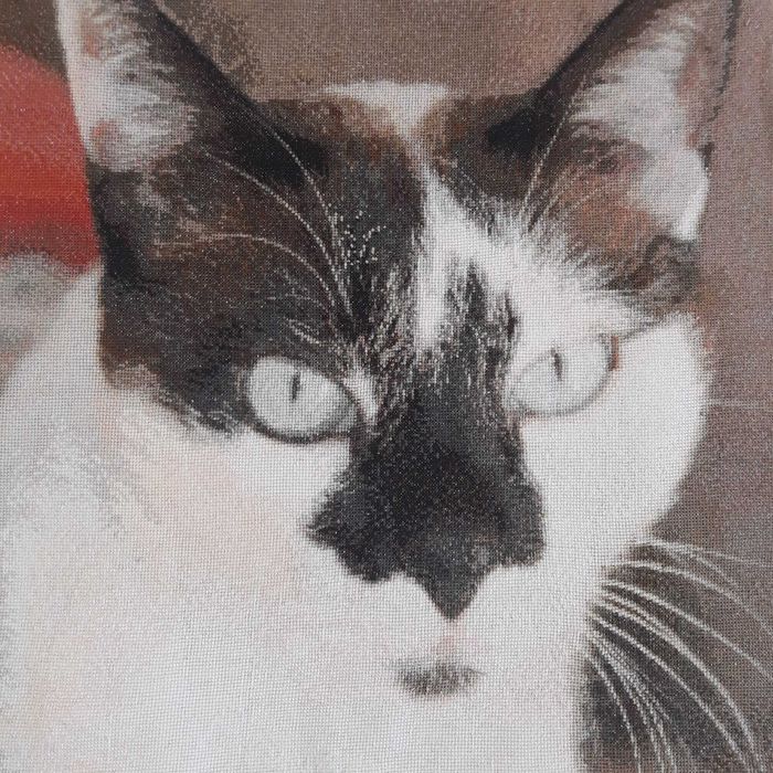 Quadros em ponto cruz