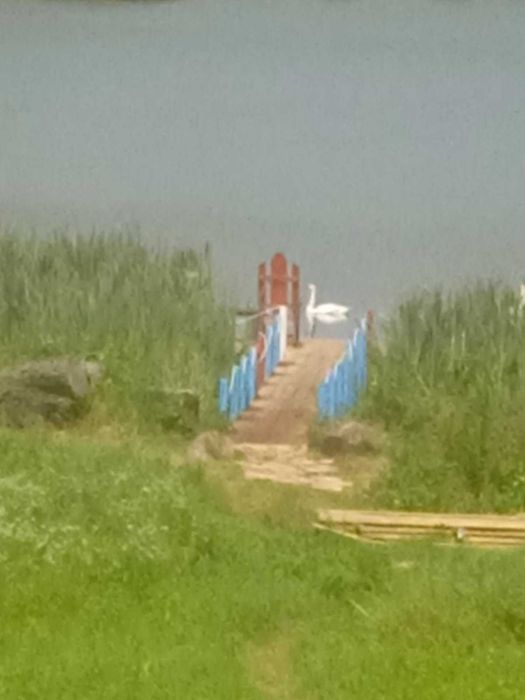 продам дом мечты на берегу озера