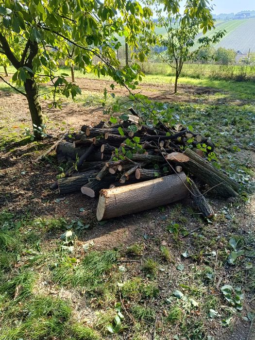 Drewno na opał iwanowice