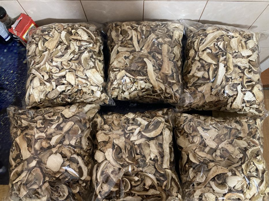 Карпацькі грибочки цьогорічні