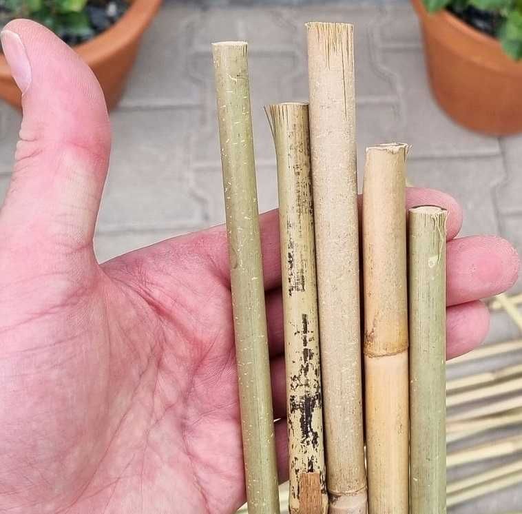 TYCZKI  BAMBUSOWE 210cm Bpaliki do pomidorów podpory drzewek roślin