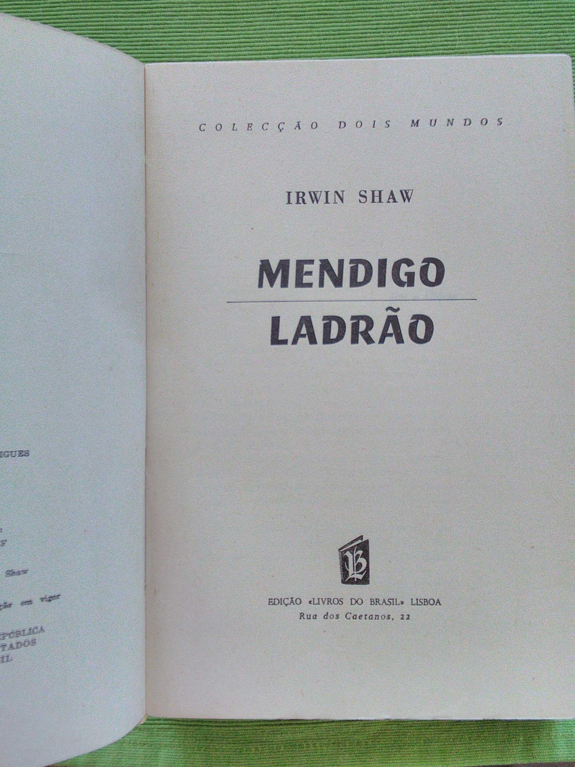 Mendigo Ladrão por Irwin Swaw