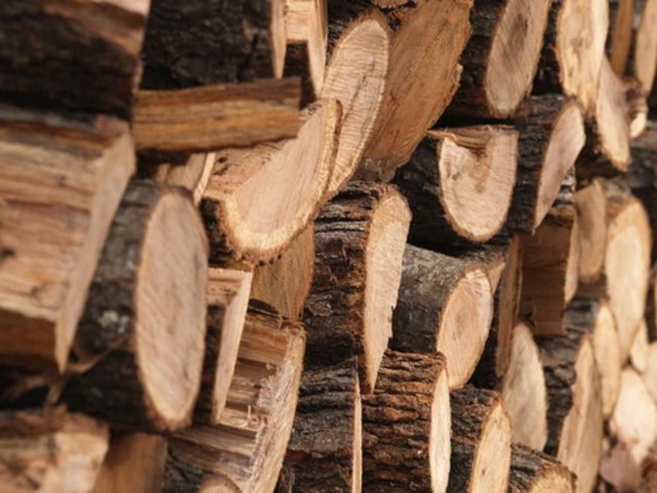 Дрова клолтые твердых пород дуб граб ясень без предоплат , документы