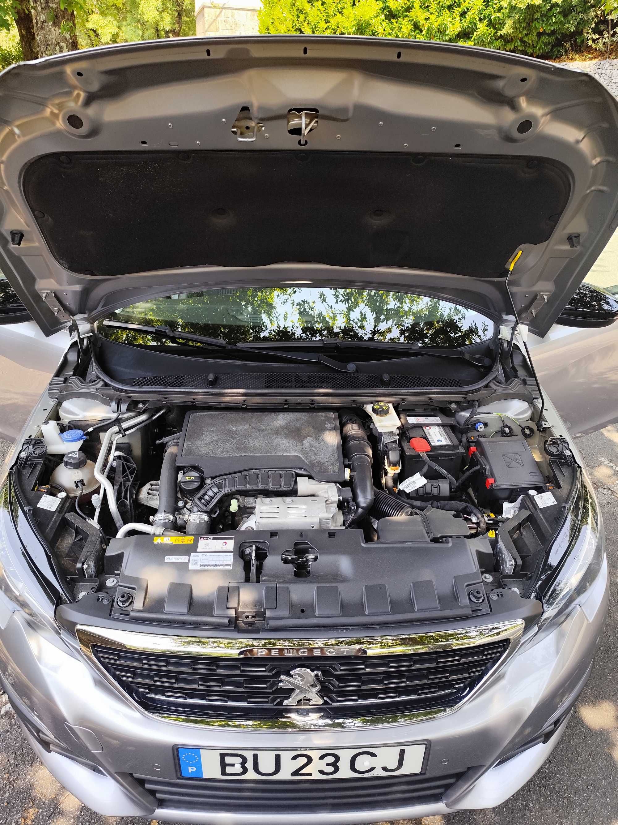Peugeot 308 Allure GARANTIA INCLUÍDA