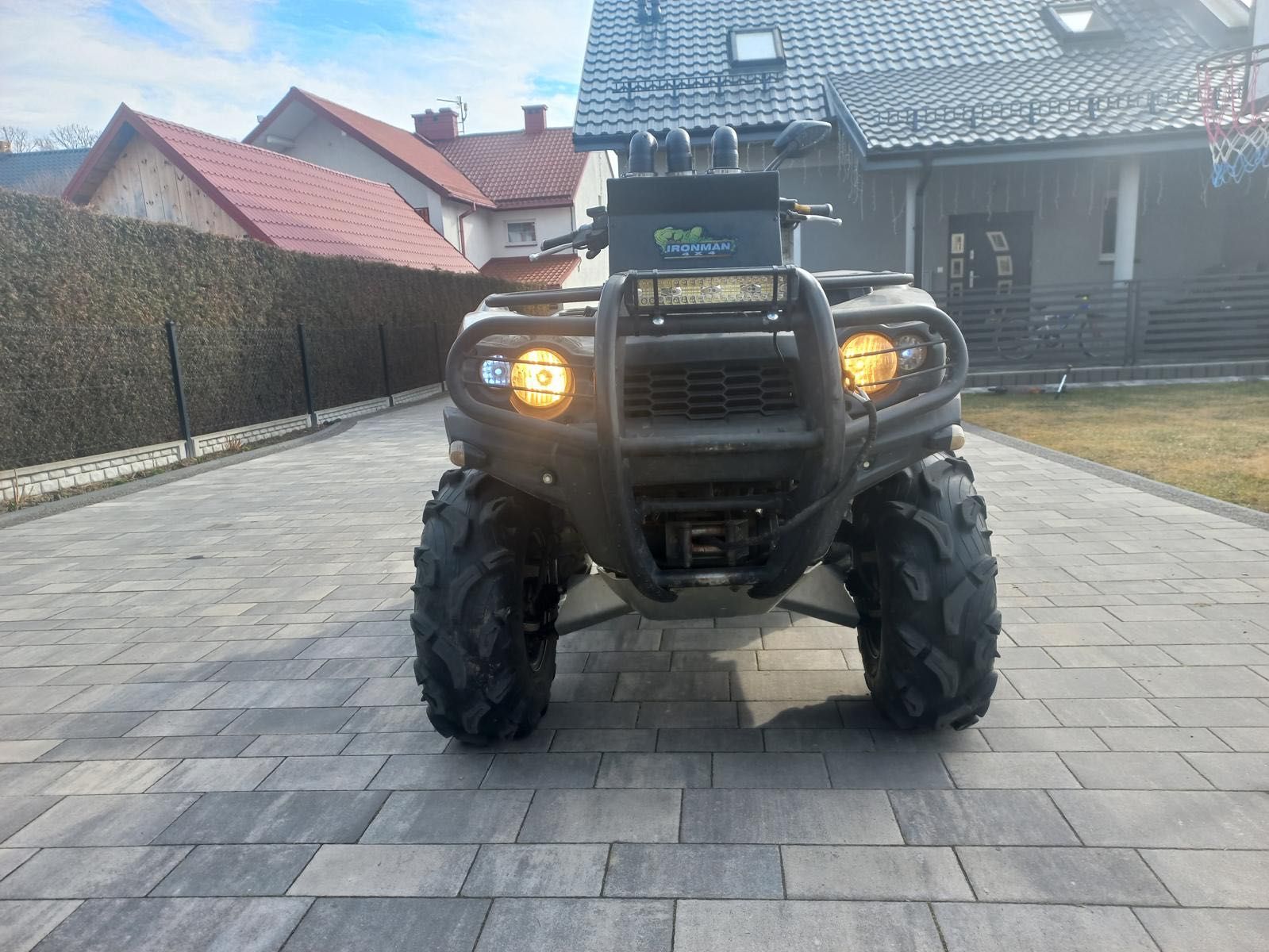 2009 Kawasaki  Brute Force