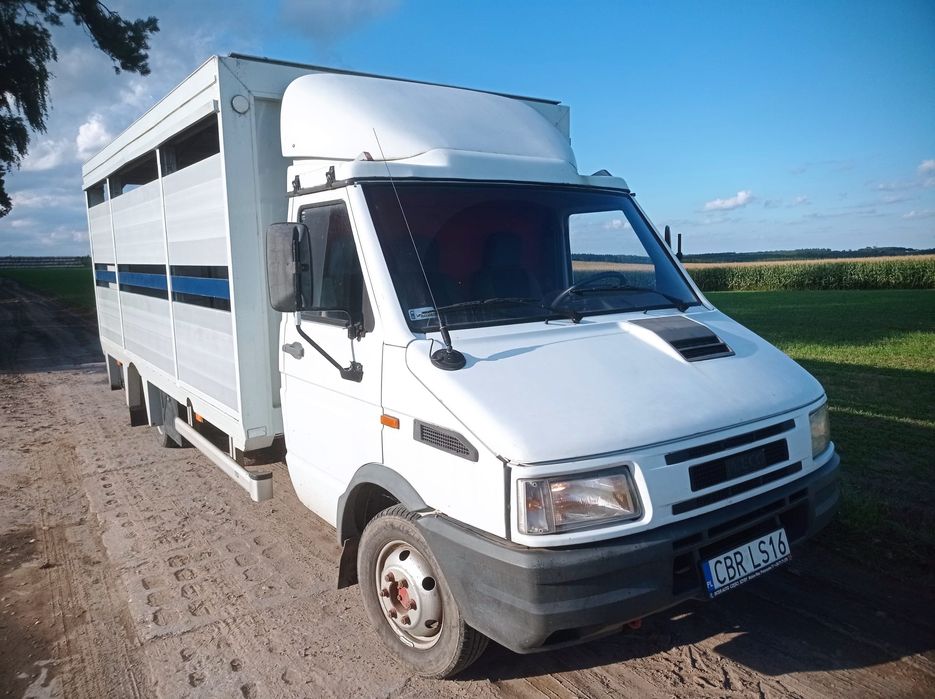 Iveco 35 do żywca, trzody chlewnej, bydła
