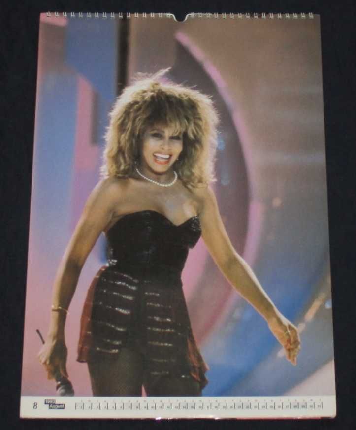 Calendário de Parede de 1993 Poster Tina Turner