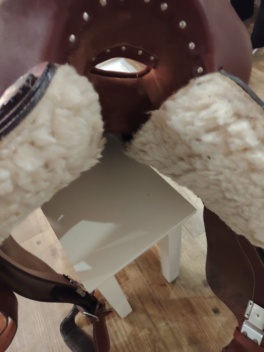 Sela australiana nova