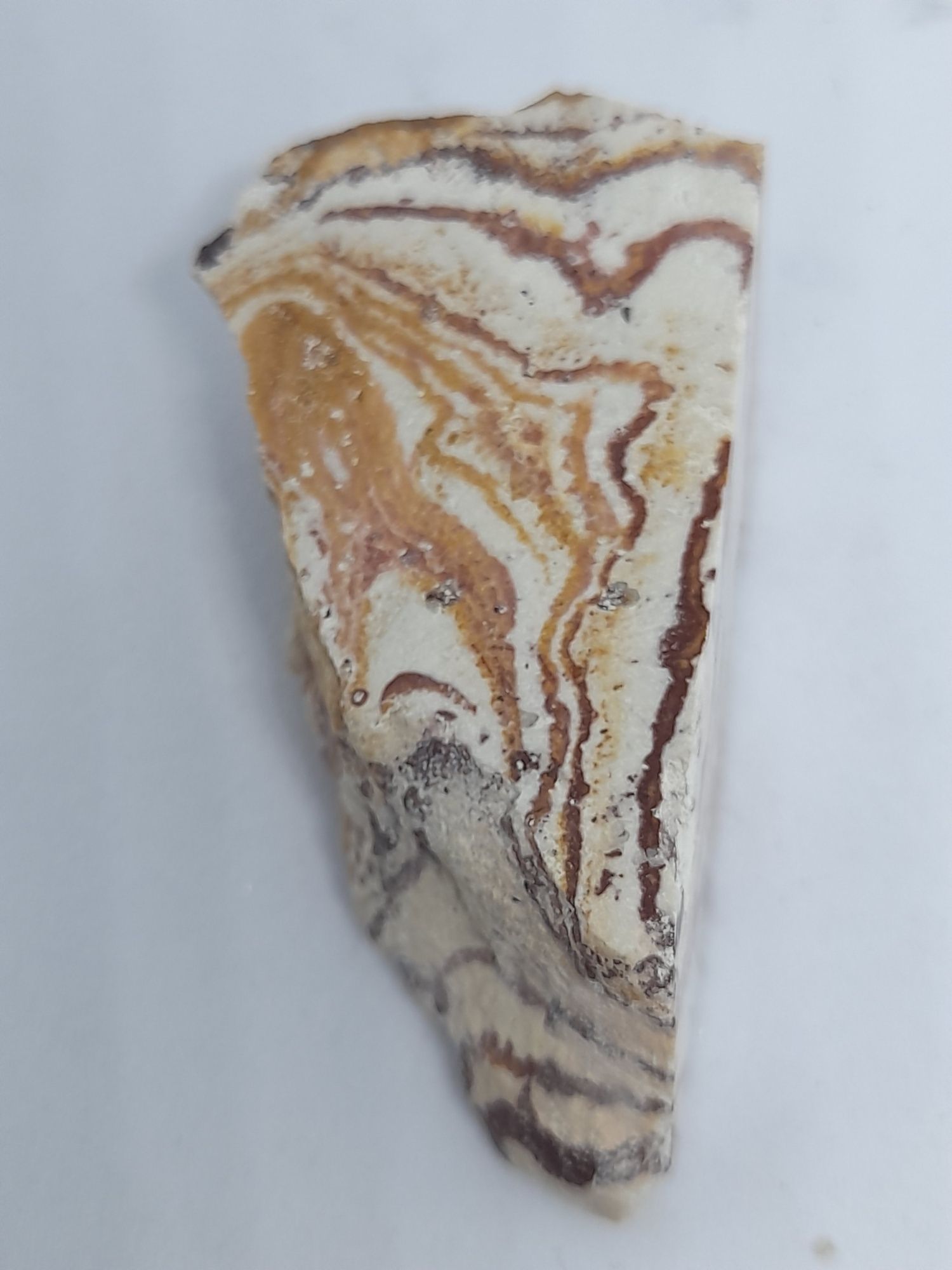 Rhyolite Wonderstone - Arizona USA.